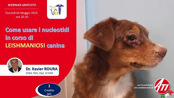 SLIDE INTERNA GALLO.jpg